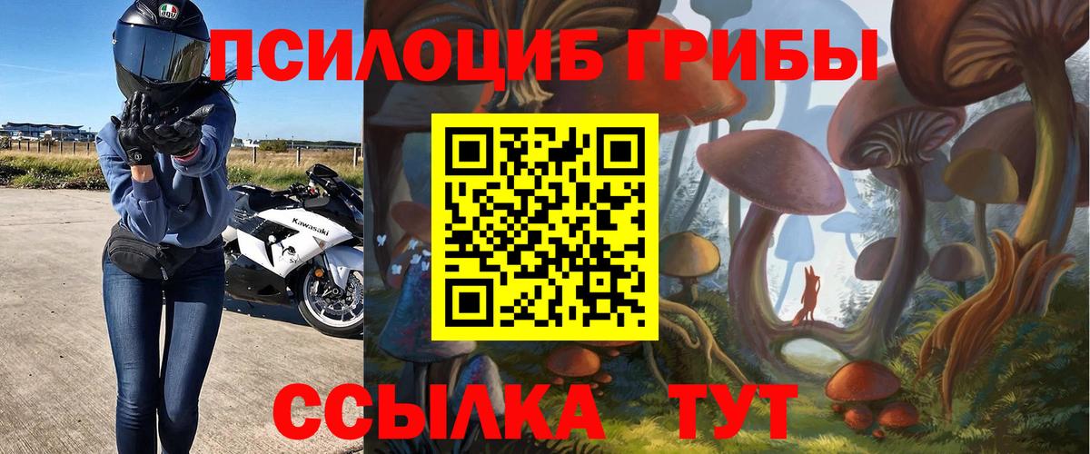 Карасук  Псилоцибиновые грибы Psilocybe  Вход с VPN 